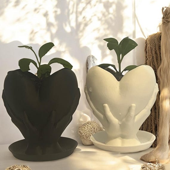 Set of 2 Leaf of Life Plants in Black and White Heart Pots, Jamaican Succulent Gift