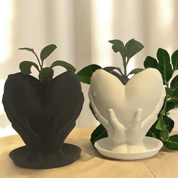 Jamaican Leaf of Life Houseplant in Heart Pot, Medicinal Bryophyllum Pinnatum Indoor Outdoor Spiritual Plant