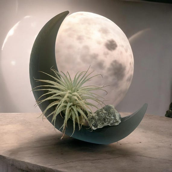 Black Crescent Moon Air Plant Terrarium, Moonstone Crystal Decor, Genuine Healing Crystals, Mystical Plant Gift, Botanical Indoor Garden