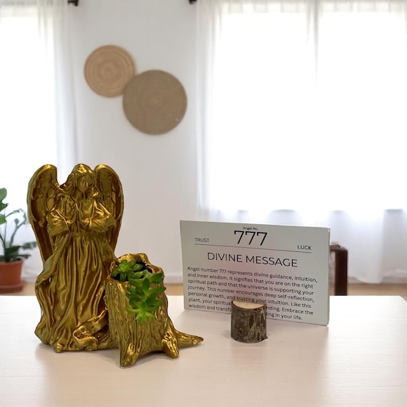 Gold Angel 777 Succulent Planter with Sedum Adolphi, Spiritual Luck and Alignment Gift
