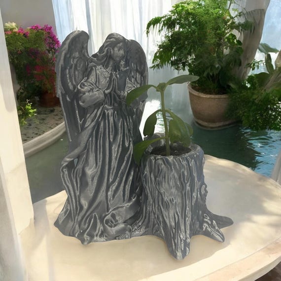 Leaf of Life Plant in Silver Angel Pot, Jamaican Bryophyllum Pinnatum Succulent, Indoor Greenery Décor