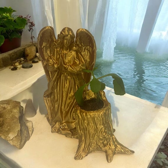 Leaf of Life Plant in Gold Angel Pot, Miracle Leaf Succulent, Wonder of the World Indoor Gift