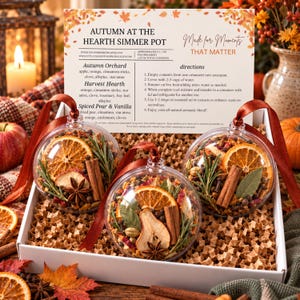 May include: A set of three clear spherical ornaments filled with dried orange slices, cinnamon sticks, star anise, and rosemary, presented in a white box with a printed instruction card titled Autumn at the Hearth Simmer Pot.