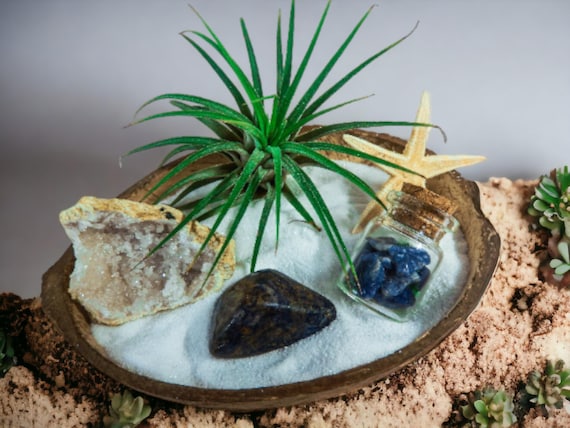 Air Plant Terrarium in Coconut Shell, Sodalite and Geode Crystal Decor, Zen Living Plant Kit, Unique Indoor Garden Gift, Natural Boho Accent