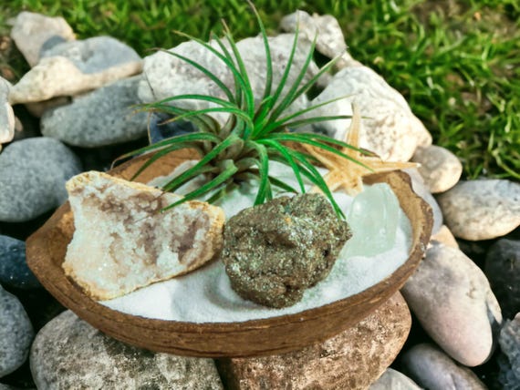 Air Plant Terrarium in Natural Coconut Shell Planter, Tillandsia Living Plant, Moroccan Geode & Pyrite Crystals, Indie Decor, Air Plant Kit