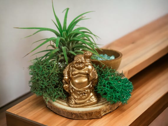 Air Plant Terrarium with Buddha Statue, Spiritual Wood Slice Display, Unique Home Decor, Low Maintenance Plant Gift, Natural Office Decor
