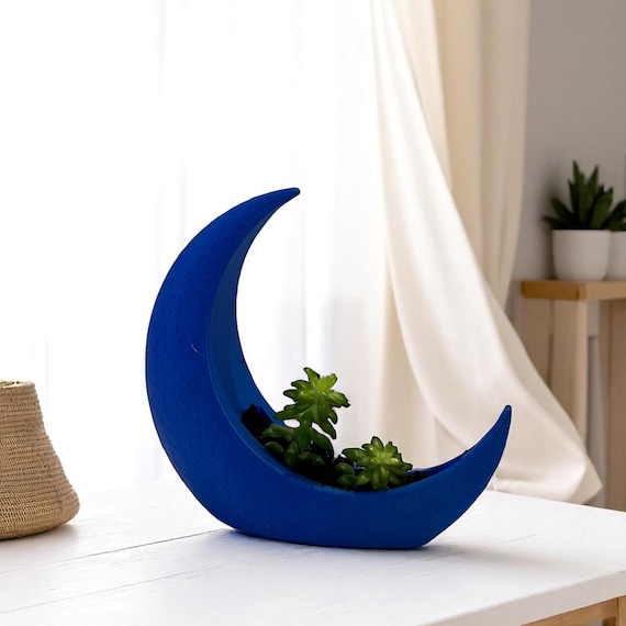 Blue Crescent Moon Succulent Planter with Shooting Star Sedum, Mystical Lunar Celestial Gift