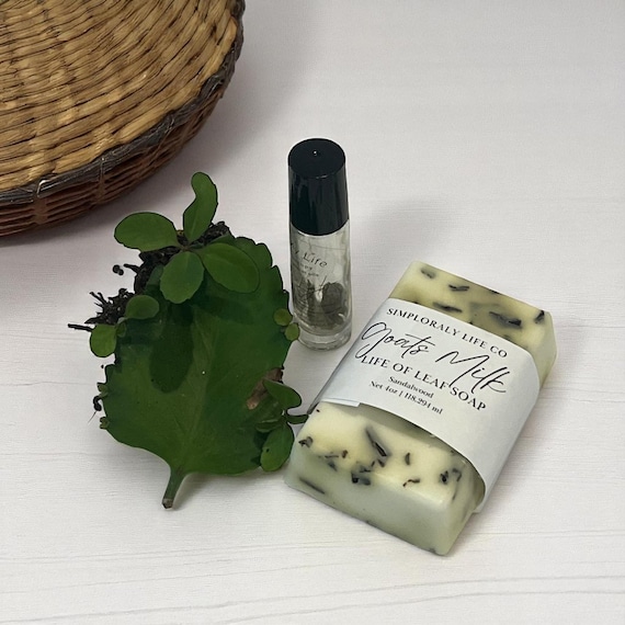 Leaf of Life Goats Milk Soap & Roller Bottle Oil, Gift Set Miracle Leaf Soap Bar, Botanical Wellness Gift, Kalanchoe Pinnata Aromatherapy