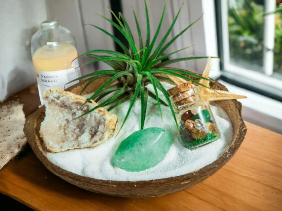 Air Plant Terrarium in Coconut Shell, Green Aventurine Crystals, Zen Decor Plant Display, Handmade Terrarium Gift, Eco-Friendly Home Accent