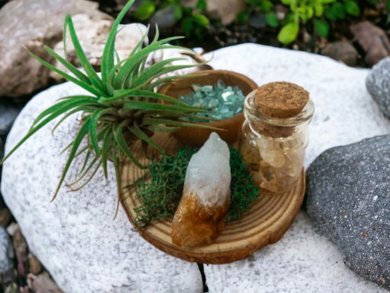 Air Plant Terrarium Wood Slice Holder & Citrine Crystal, Spiritual Home Decor, Low Maintenance Plant Gifts, Office Plant Desk Decoration