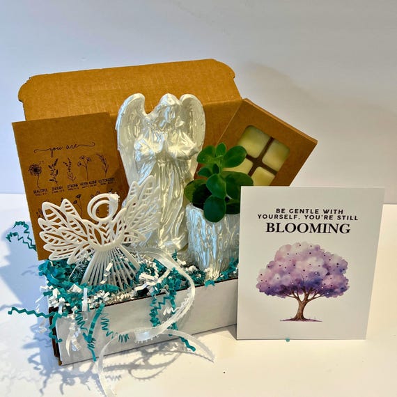 Large Angel Succulent Gift Box, Spiritual Encouragement Gift for Women, Healing Set