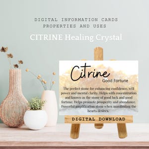 Cartão com o significado do cristal de citrino, presentes metafísicos de pedras, propriedades dos cristais, usos da energia de cura, cartão com informações sobre espécimes de rocha para impressão