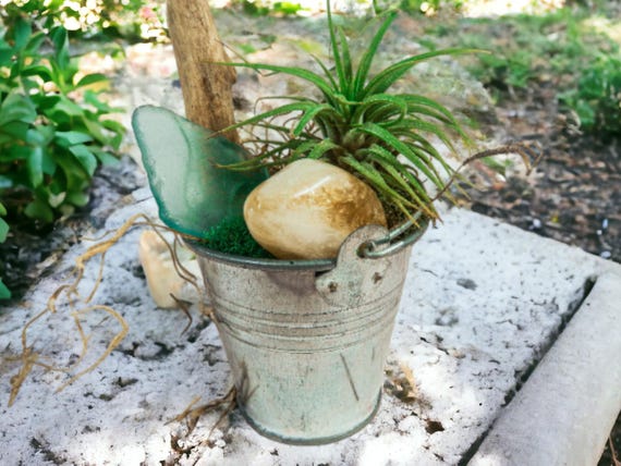 Air Plant Terrarium with Citrine Crystal, Driftwood & Dried Moss in Rustic Silver Bucket, Mini Terrarium Decor, Home Accent Nature Gift
