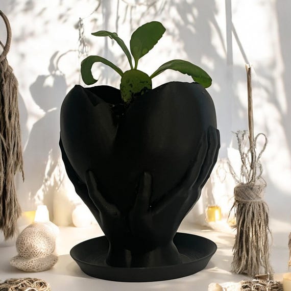 Leaf of Life Succulent in Black Heart Pot, Jamaican Kalanchoe Pinnata, Indoor Plant Gift Décor