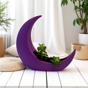 May include: A purple crescent moon-shaped planter with a textured surface, holding green succulents. The planter sits on a white wooden surface, with a white curtain backdrop and indoor plants.