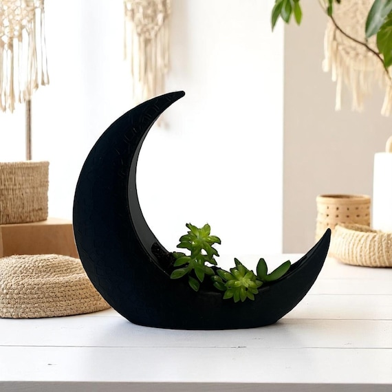 Black Crescent Moon Succulent Planter with Shooting Star Sedum, Gothic Celestial Plant Gift