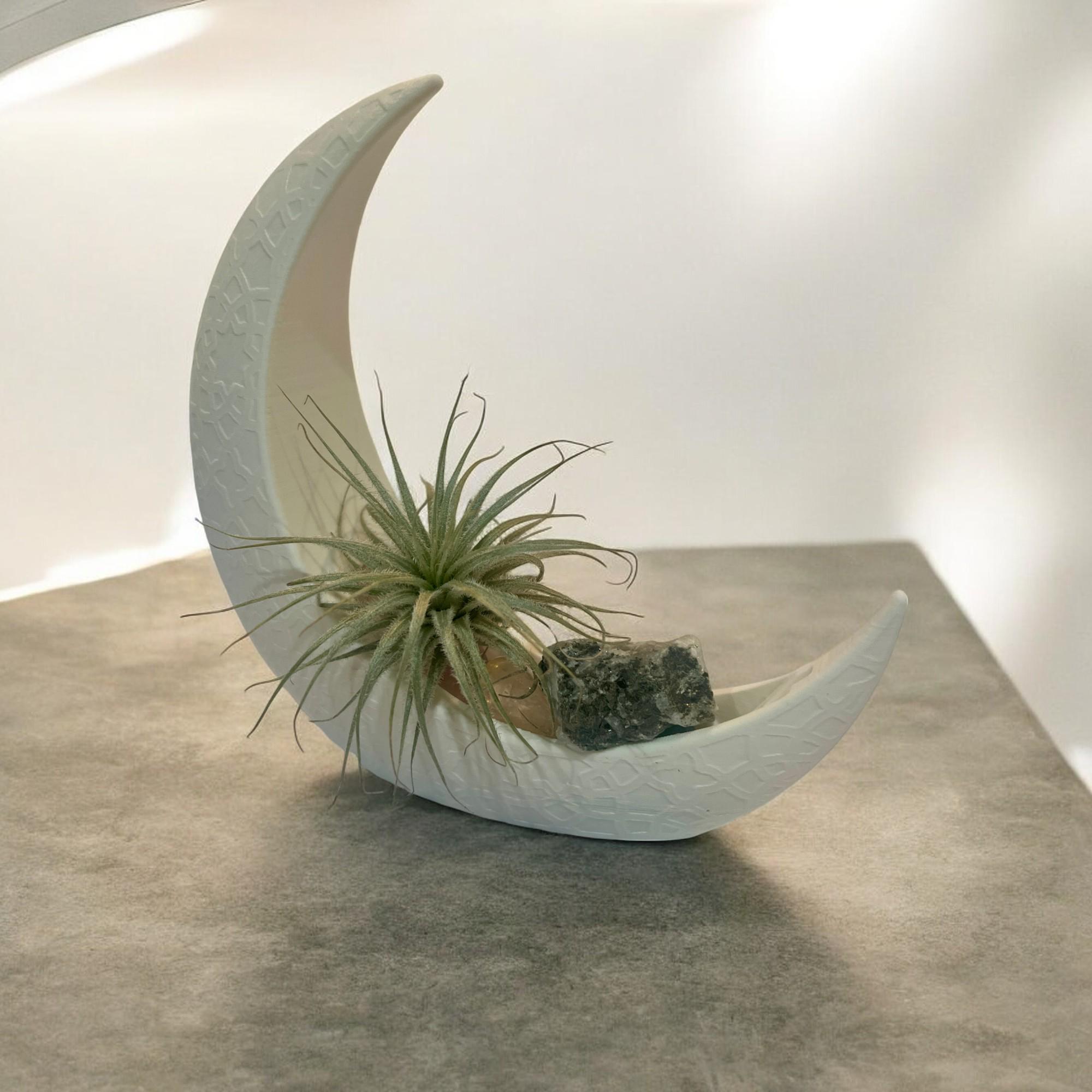 White Crescent Moon Air Plant Terrarium, Moonstone Crystal Plant Decor, Air Plant Terrarium Kit, Mystical Moon Plant Gift, Indoor Garden