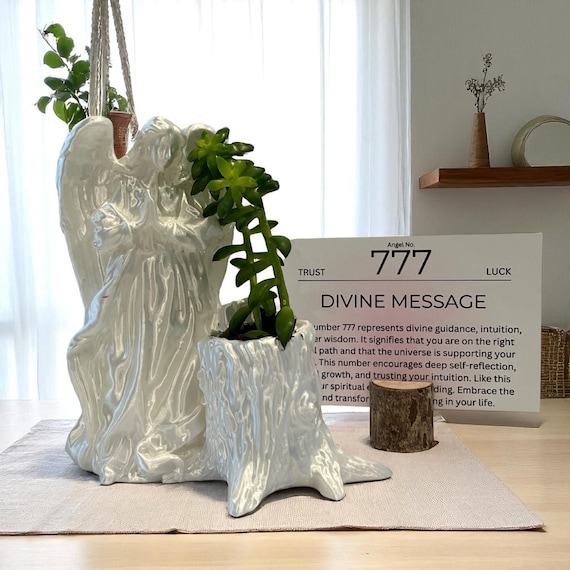 White Angel 777 Succulent Planter with Sedum Adolphi, Spiritual Protection and Luck Gift