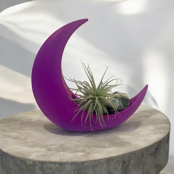 Purple Crescent Moon Air Plant Terrarium, Botanical Indoor Garden, Moonstone Crystal Decor, Celestial Planter, Mystical Moon Plant Gift