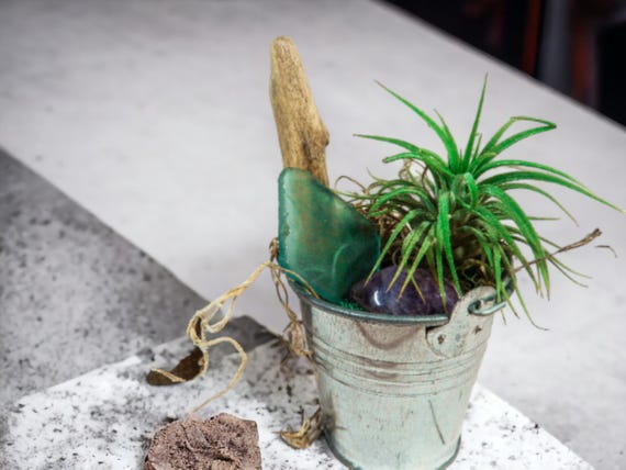 Air Plant Terrarium Gift, Rustic Silver Bucket with Amethyst Crystal, Dried Moss & Driftwood, Home Decor Mindful Gift, Indoor Plant Display