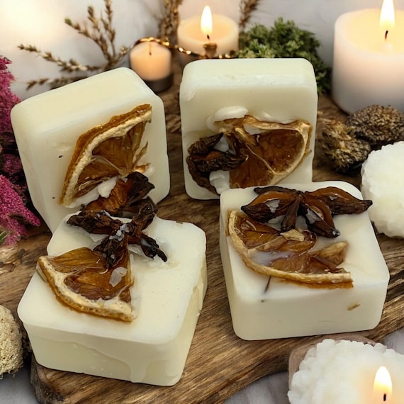Herb Infused Soy Wax Melt Cubes, Orange and Star Anise Scented Melts, Natural Soy Wax Aroma Tart Cubes, Citrus Spice Home Fragrance