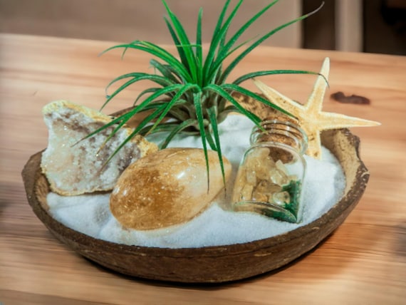 Citrine Air Plant Terrarium Coconut Shell, Crystal Display, Indie Home Decor, Minimal Zen Garden, Eco-Friendly Planter, Easy Live Plants