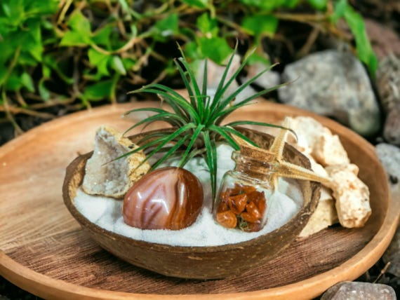 Air Plant Terrarium Coconut Shell, Carnelian & Geode Crystal Zen Garden Gift, Natural Boho Decor, Living Plant Kit, Crystal Healing Planter