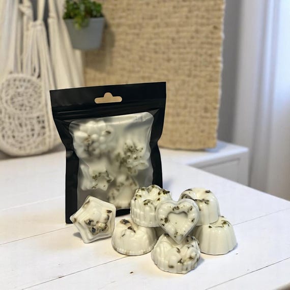 Leaf of Life Hand Soap Set, Miracle Leaf Party Soap Favors, Goats Milk Travel Soap, Plant Based Skincare, Spiritual Kalanchoe Pinnata Leaves