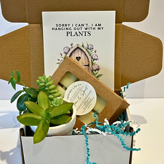 Funny Plant Lover Gift Box, Succulent Set & Lavender Wax Melts, Humor Gift for Women