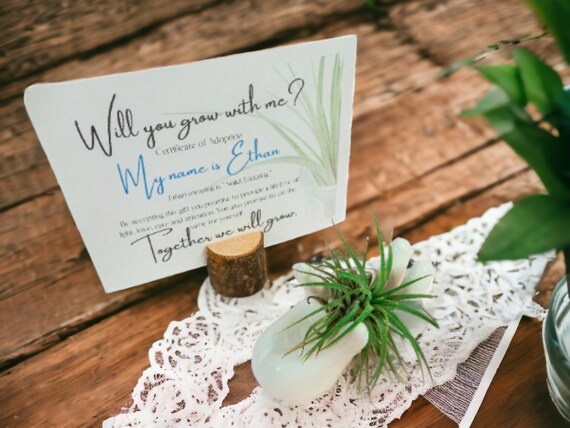Air Plant Tillandsia Planter on White Ceramic Hand Dish, Cute Adopt Me Plants, Adoption Card with Ethan Name Meaning, Unique Sympathy Gifts