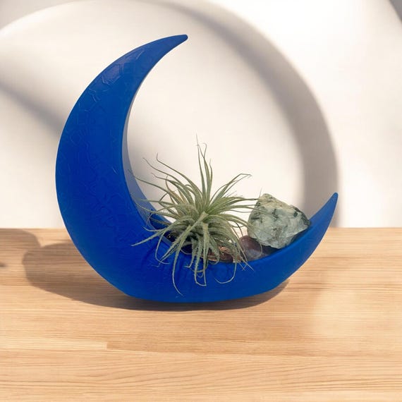 Blue Crescent Moon Air Plant Terrarium, Celestial Moonstone Plant Decor, Air Plant Terrarium Kit, Mystical Moon Crystal Plant Garden Gift