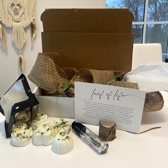 Leaf of Life Gift Set Roller Bottle Oil, Miracle Leaf Goats Milk Soap, Wellness Gift, Kalanchoe Pinnata Leaf Aromatherapy, Herbal Skincare
