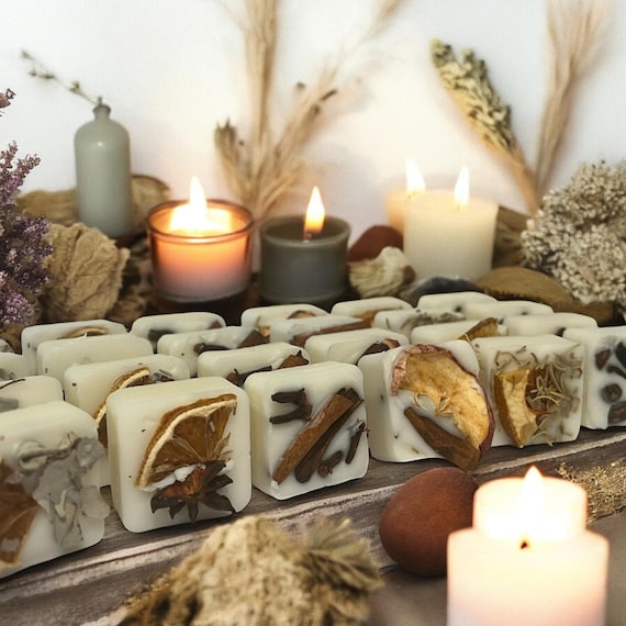 Set of 24 Herb Infused Soy Wax Melt Gift Set, Dried Fruit Blend, Botanical Fragrance Tarts, Spice Scented Melts, Home Aroma Herbal Wax Cubes