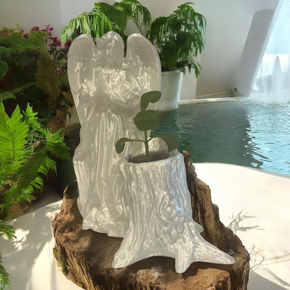 Leaf of Life Plant in White Angel Pot, Cathedral Bells Succulent, Jamaican Indoor Houseplant Gift