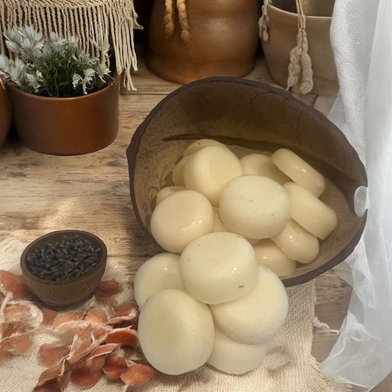 Clove Herb Soy Wax Melts, Aromatherapy Wax Tarts, Dried Clove Buds, Warm Spicy Fragrance, Wax Cubes, Calming Wax Melts for Home Relaxation