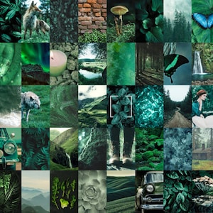 Dark Emerald Green Aesthetic Wall Collage Kit 40 PCS| Boho Botanical VSCO Tezza Collage Kit