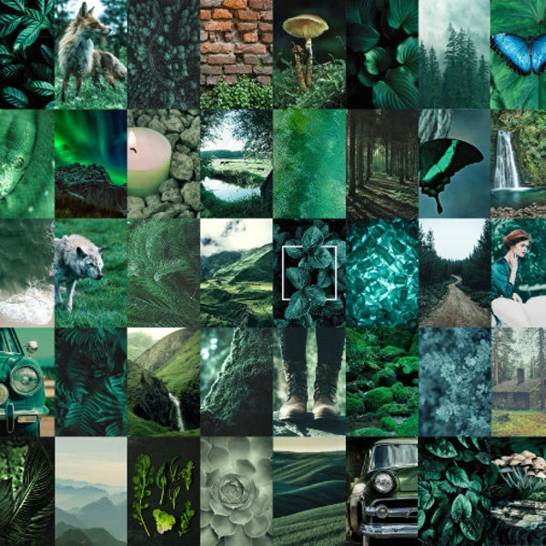 Dark Emerald Green Aesthetic Wall Collage Kit 40 PCS| Boho Botanical VSCO Tezza Collage Kit