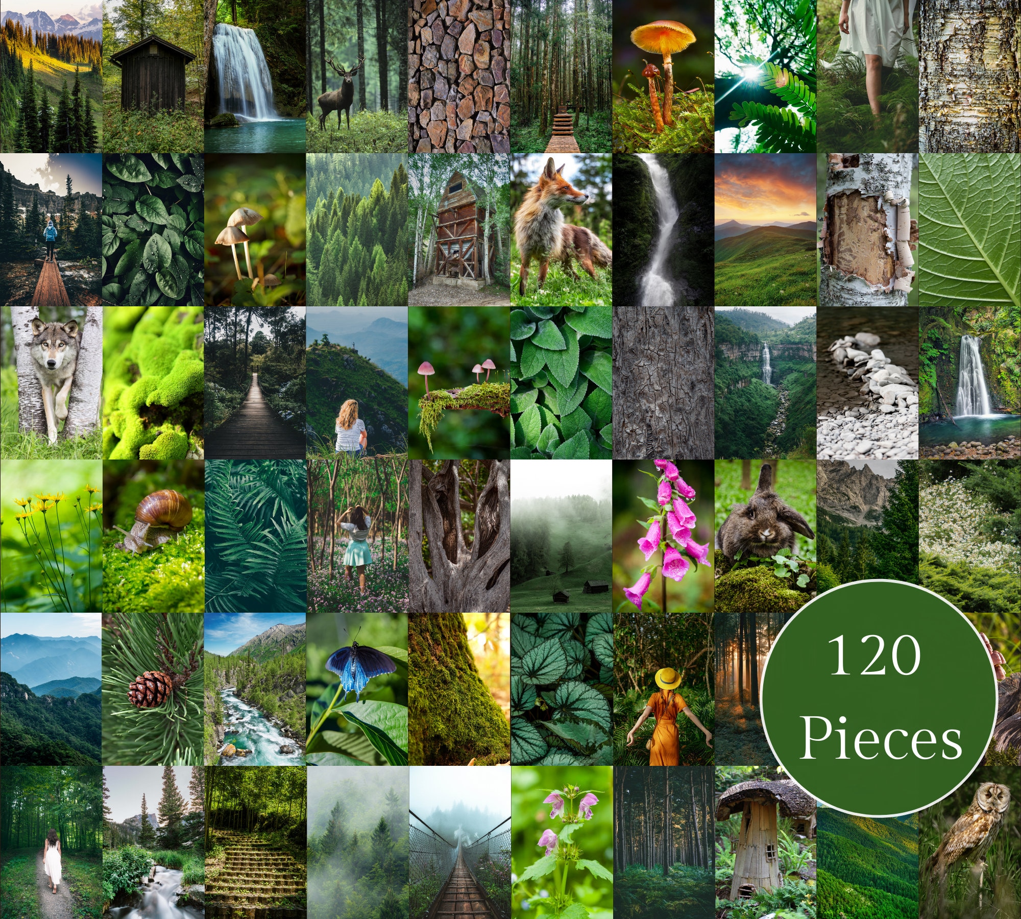 Doom and Dead, image size:2000x1800