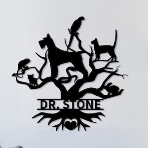 Cartello veterinario in metallo personalizzato, cartello veterinario in metallo personalizzato, regalo veterinario, decorazione per ufficio veterinario, regalo artistico DVM, cartello clinico personalizzato