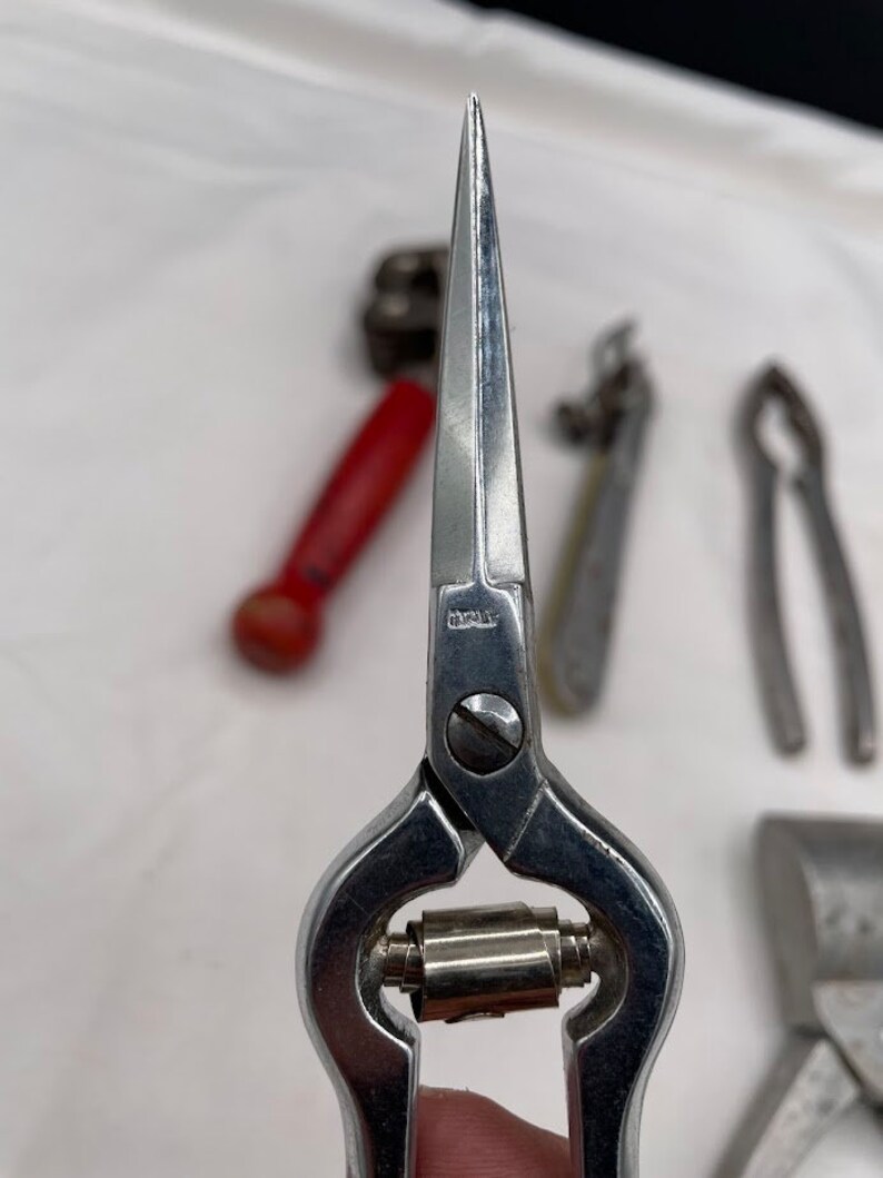 May include: Close-up of a silver pair of pruning shears with a pointed tip. The shears have a small metal roller in the middle of the handles. The word "ITALY" is engraved on the side of the shears.