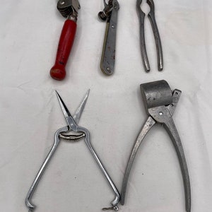 May include: Five kitchen tools: a red handled can opener, a silver nutcracker, a silver garlic press, a silver pair of kitchen shears, and a silver can opener.