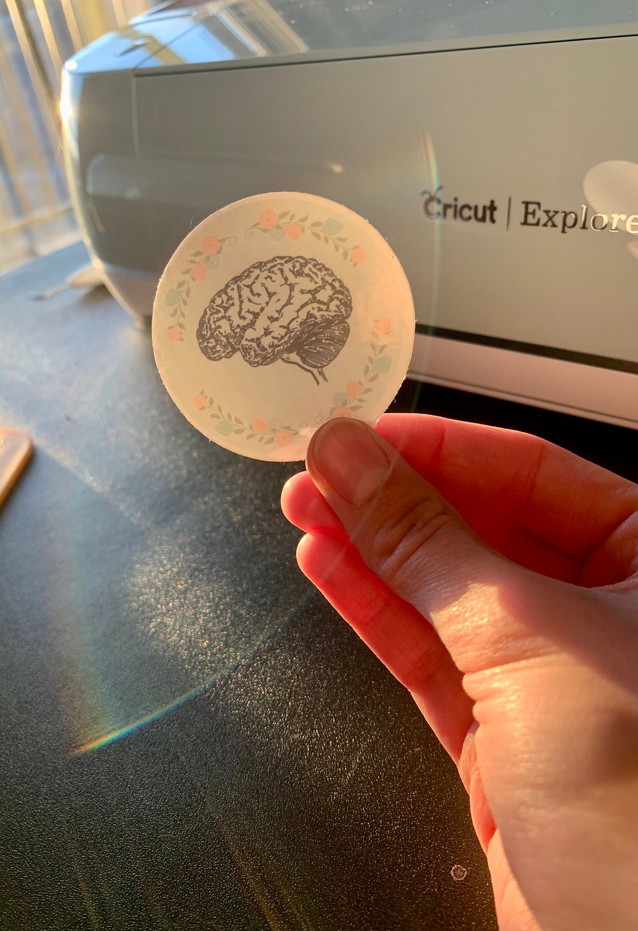 Anatomical Sketch Vinyl Anatomy Sticker Etsy