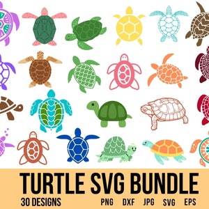 Turtle Svg, Sea Animals Svg, Animal Svg, Sea Turtle Png, Turtle Clipart, Sea Turtle Svg, Tortoise Svg, Cute Turtle Svg, Turtle Vector