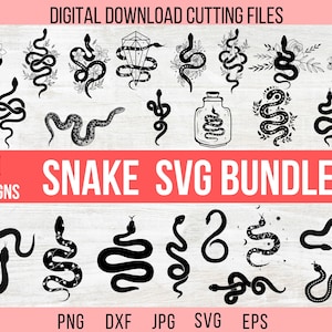 Snake Svg-bundel, Snake Clipart, Snake Png, Snake Vector, Animal Svg, Reptile Svg, Snake Cut-bestand, Celestial Svg, Snake Svg, Snake silhouet