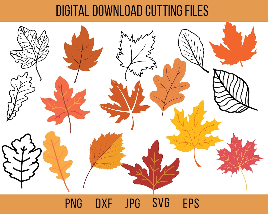 Fall Leaves Svg Leaves Svg Hello Fall Svg Fall Svg Files - Etsy