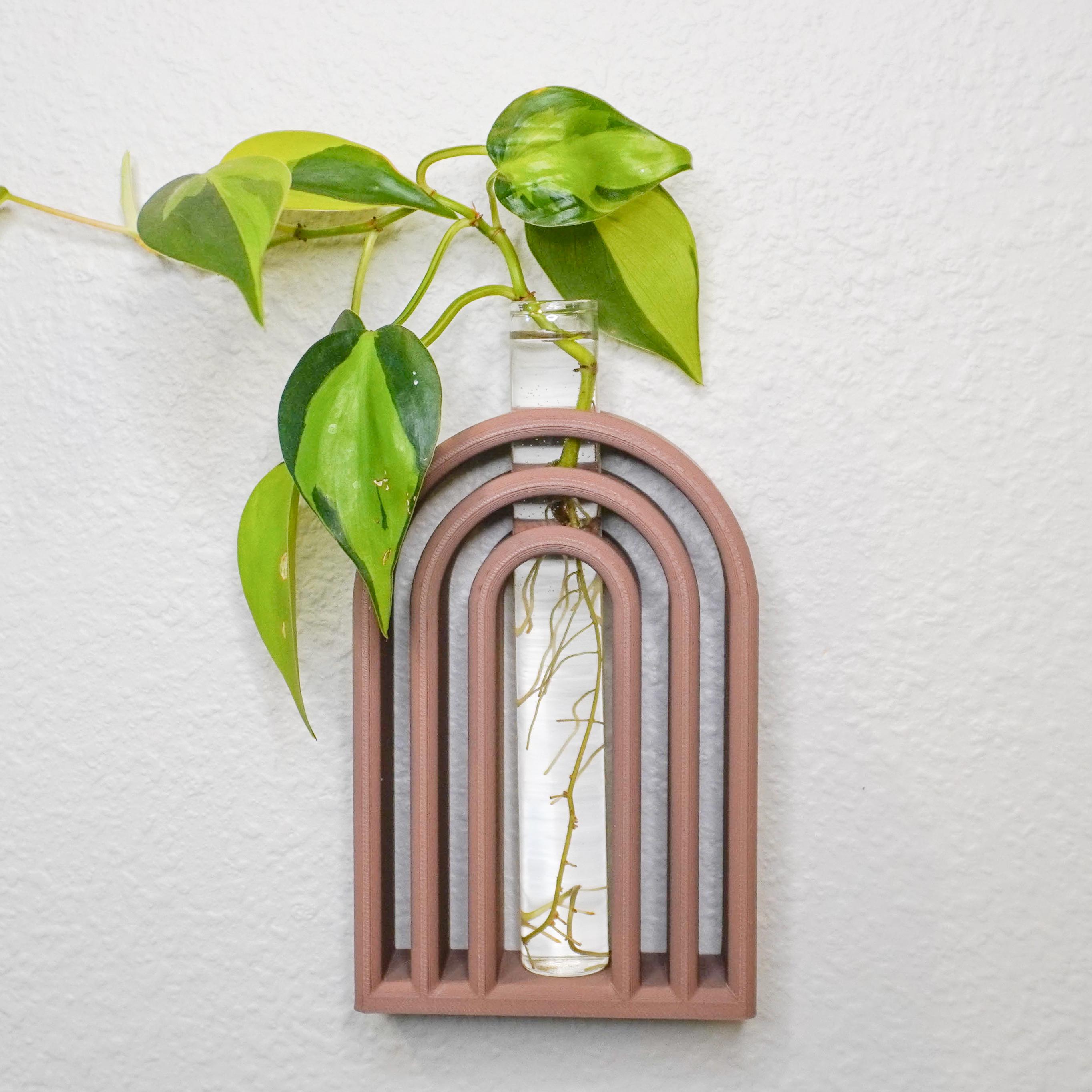 Boho Arch Propagation Tube in 8 Bright Colors
