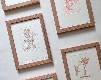 Flore des Alpes - Série de gravures à l'eau-forte