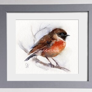 Bird Art, Bird Original Watercolor Artwork, Bird Fine Art, Bird Lover Gift
