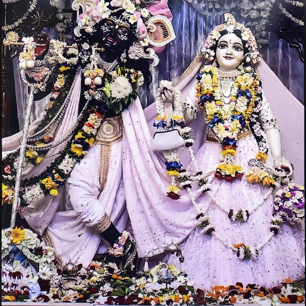 Radha Krishna laminated photo best quality picture size 8×11 inches, holy things spiritual things best quality.