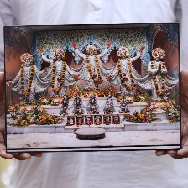 Beautiful Iskcon mayapur Pancha tattva picture, size 8"×11" inches, laminated super quality Lord Chaitanya picture, holy things